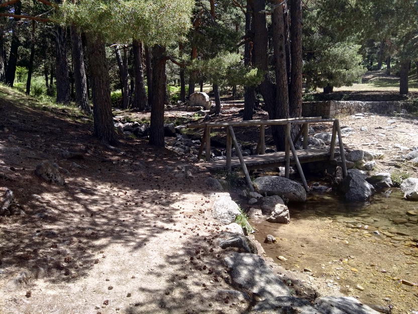 foto IMG_20170624_125639.jpg de 20170624 Puerto Navacerrada - Cercedilla (Senda Whistler)