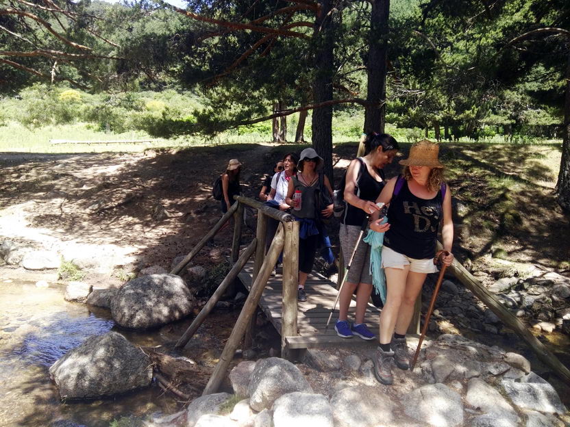 foto IMG_20170624_125707.jpg de 20170624 Puerto Navacerrada - Cercedilla (Senda Whistler)