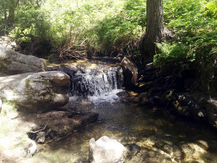 foto IMG_20170624_145302.jpg de 20170624 Puerto Navacerrada - Cercedilla (Senda Whistler)