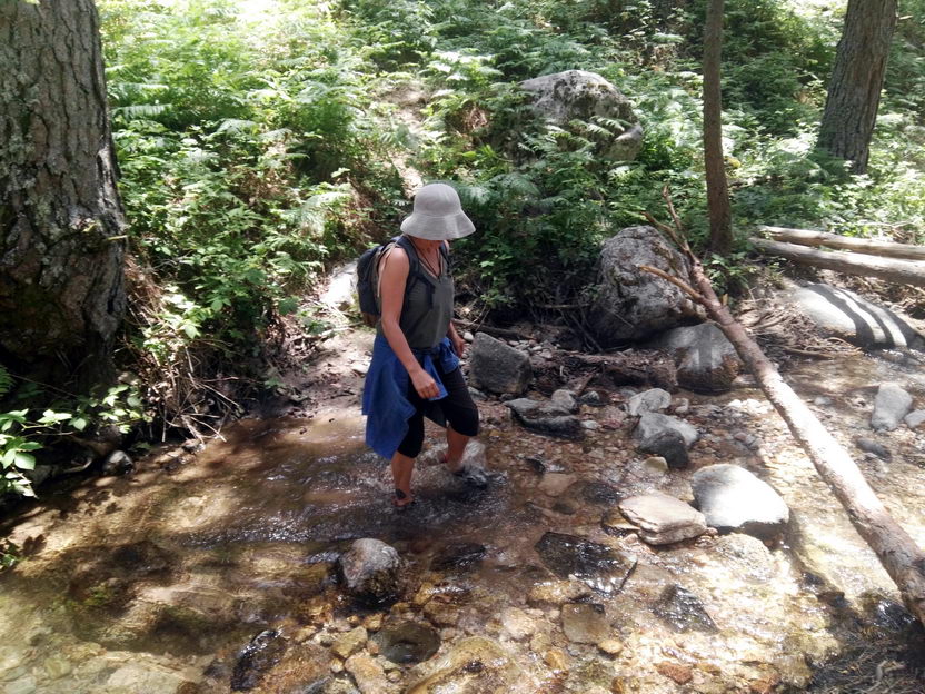 foto IMG_20170624_145552.jpg de 20170624 Puerto Navacerrada - Cercedilla (Senda Whistler)