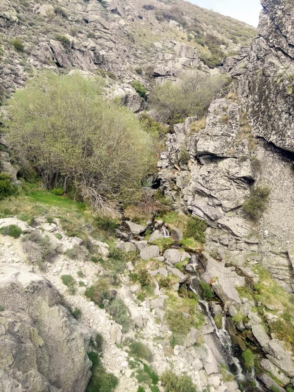 foto IMG_20180511_174935.jpg de 20180511 Total Human & Nature 2018 llegada