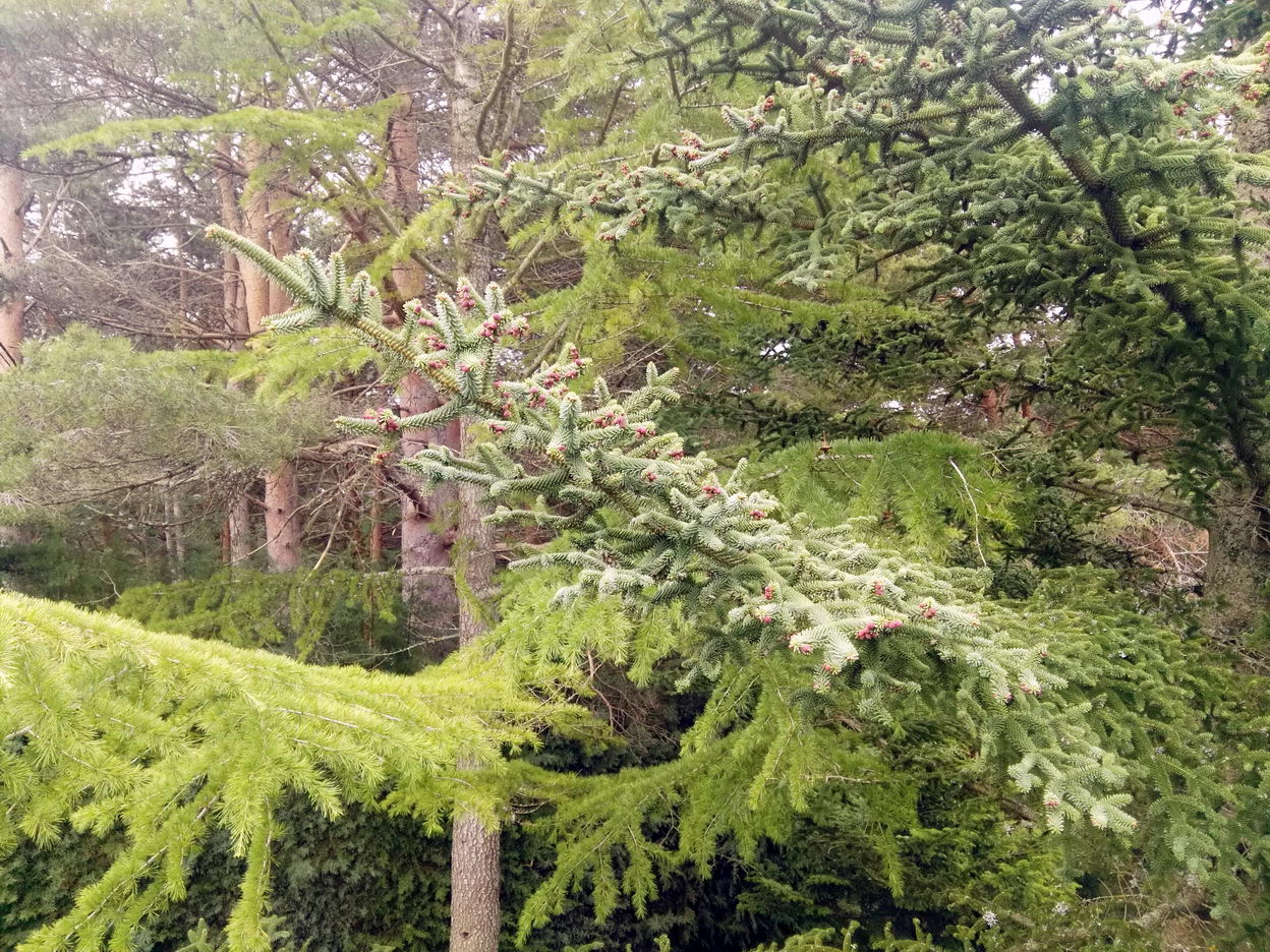 foto IMG_20180512_104329.jpg de 20180512 Total Human & Nature 2018 ecuador