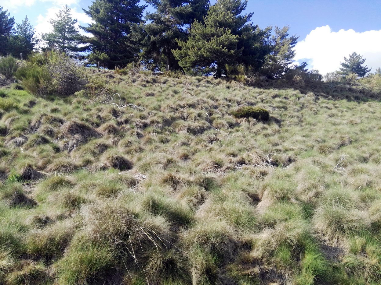 foto IMG_20180512_183018.jpg de 20180512 Total Human & Nature 2018 ecuador