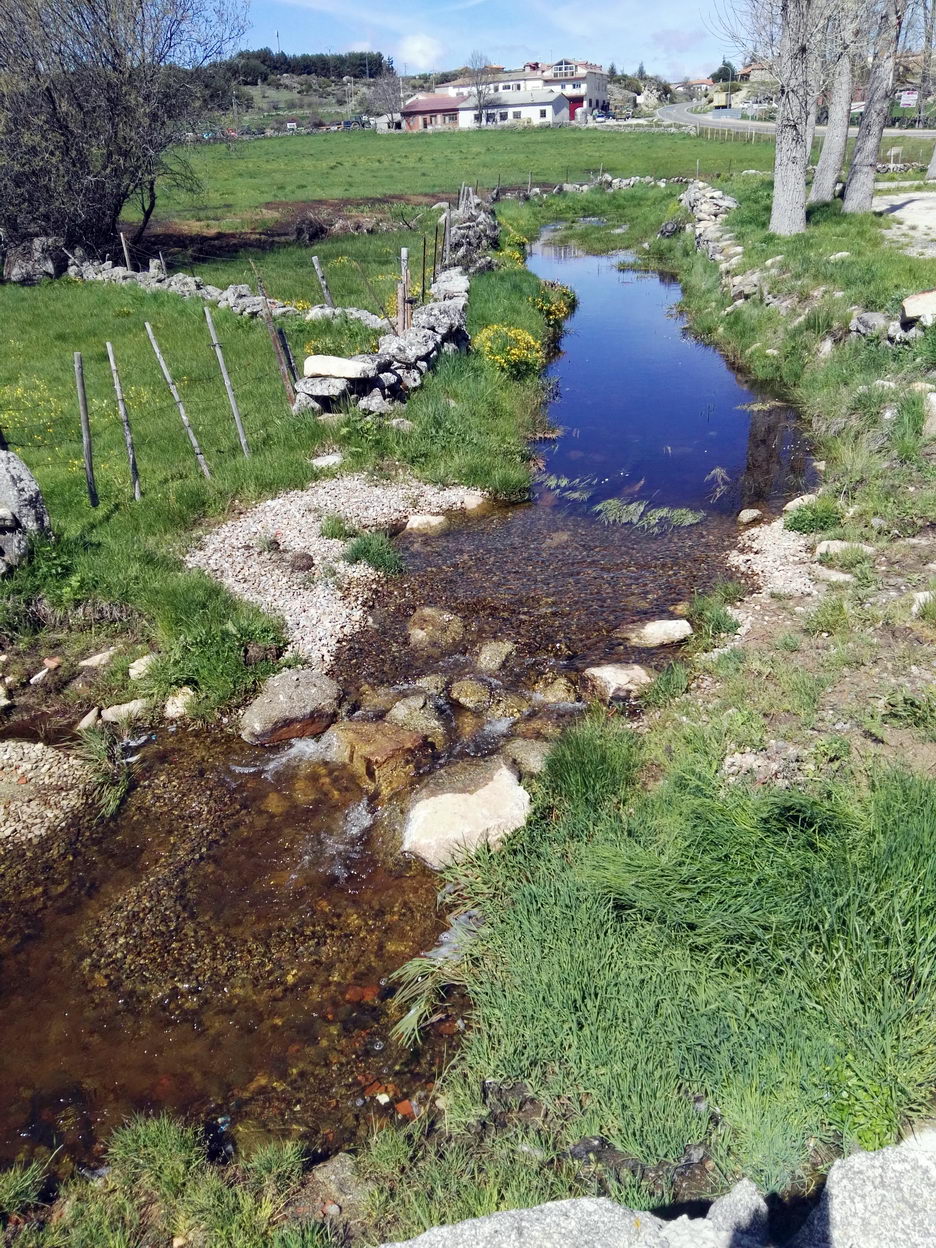 foto IMG_20180513_115714.jpg de 20180513 Total Human & Nature 2018 salida