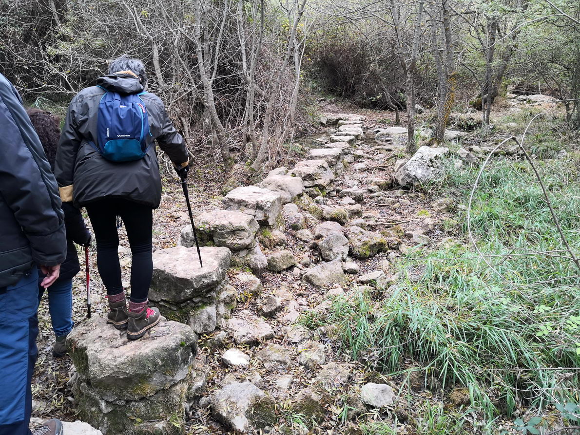 foto IMG_20181028_120222.jpg de 20181028 Barranco del río Dulce