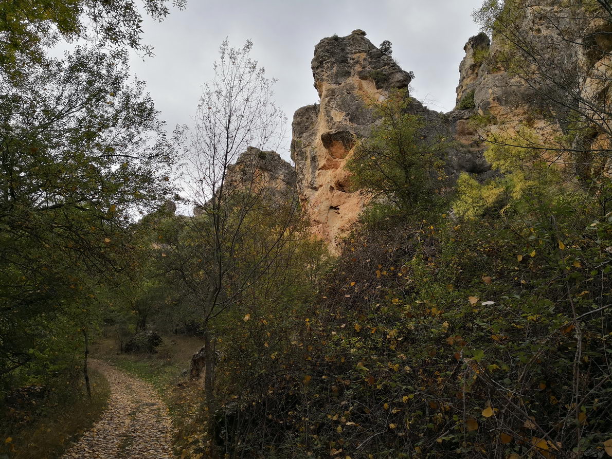 foto IMG_20181028_143722.jpg de 20181028 Barranco del río Dulce