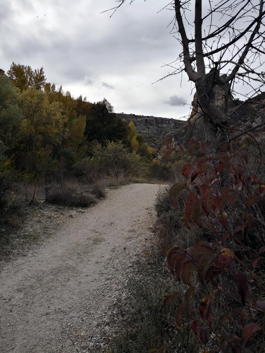 foto IMG_20181028_144618.jpg de 20181028 Barranco del río Dulce