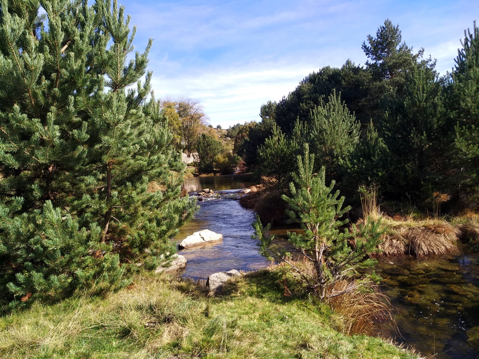 foto IMG-20181103-WA0009.jpg de 20181101 Otoño Human & Nature VHN 2018 D-1