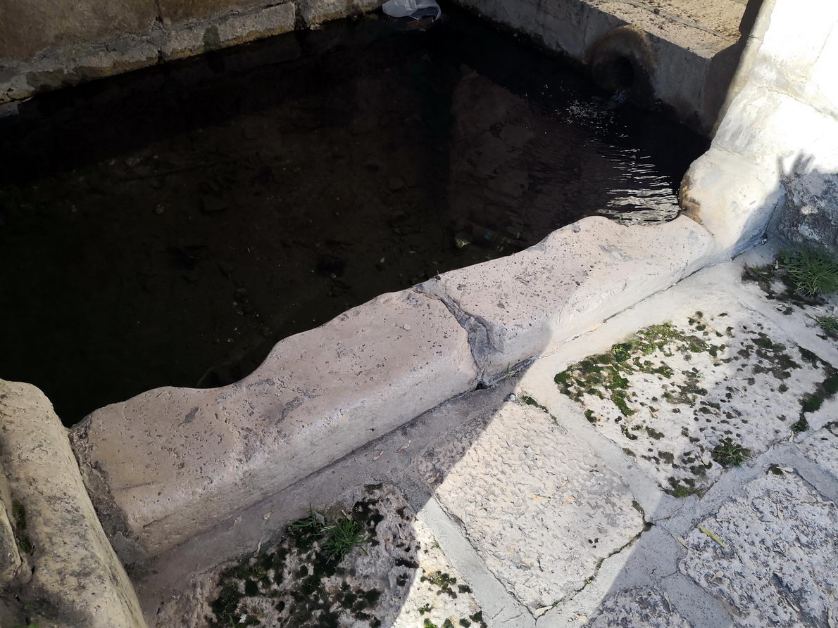 foto IMG_20190113_133758.jpg de 20190113 Colmenar de Oreja y-a Chinchón