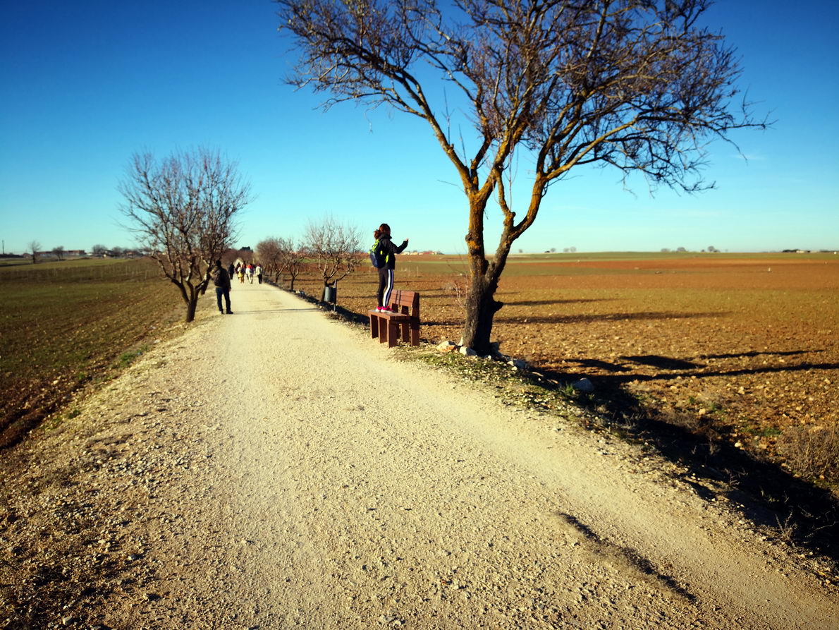 foto IMG_20190113_162740.jpg de 20190113 Colmenar de Oreja y-a Chinchón