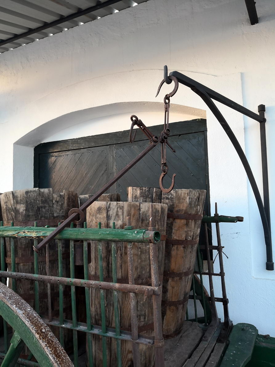 foto IMG_20190113_165316.jpg de 20190113 Colmenar de Oreja y-a Chinchón