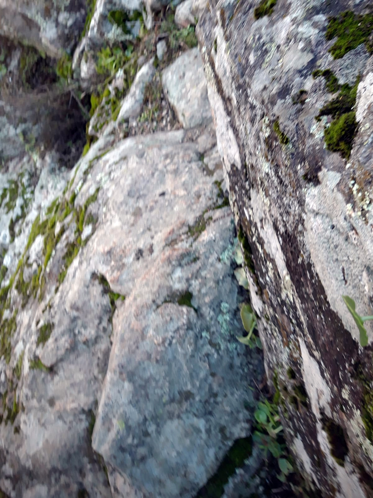 foto IMG-20190120-WA0008.jpg de 20190120 Cañón del río Aulencia