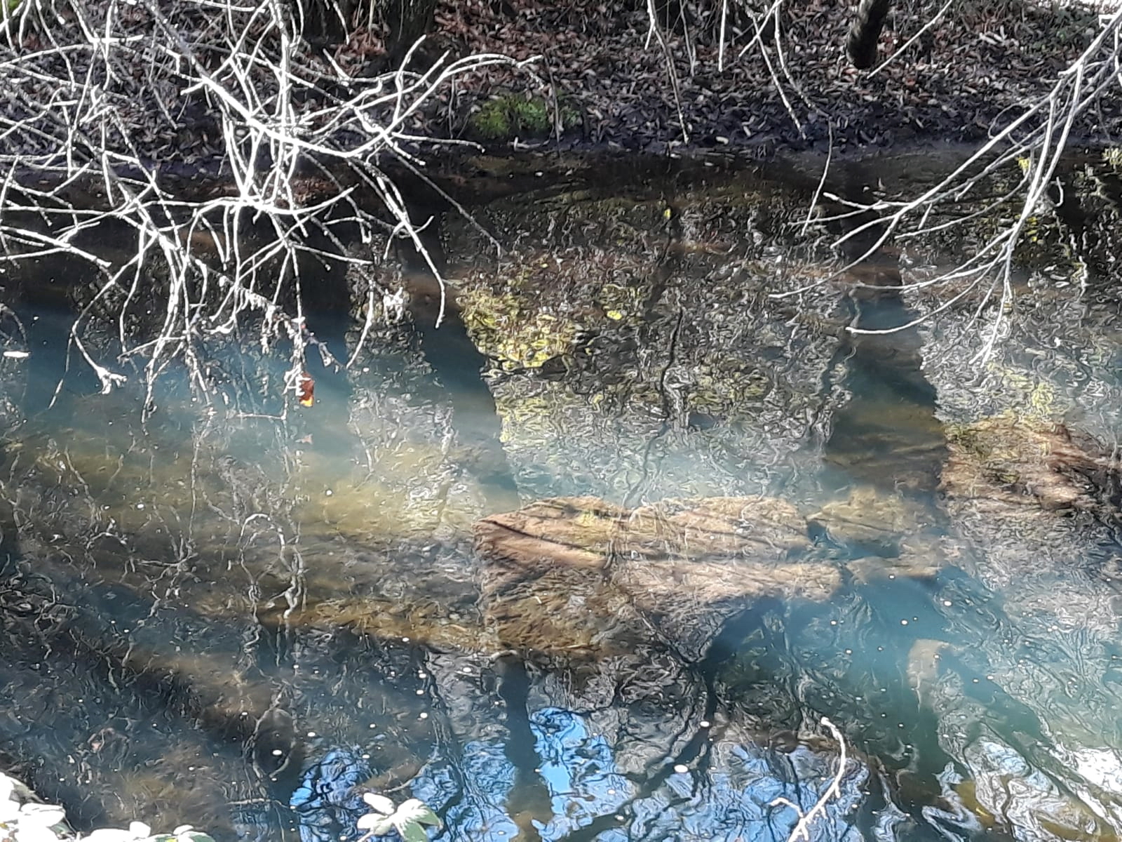 foto IMG-20190120-WA0070.jpg de 20190120 Cañón del río Aulencia