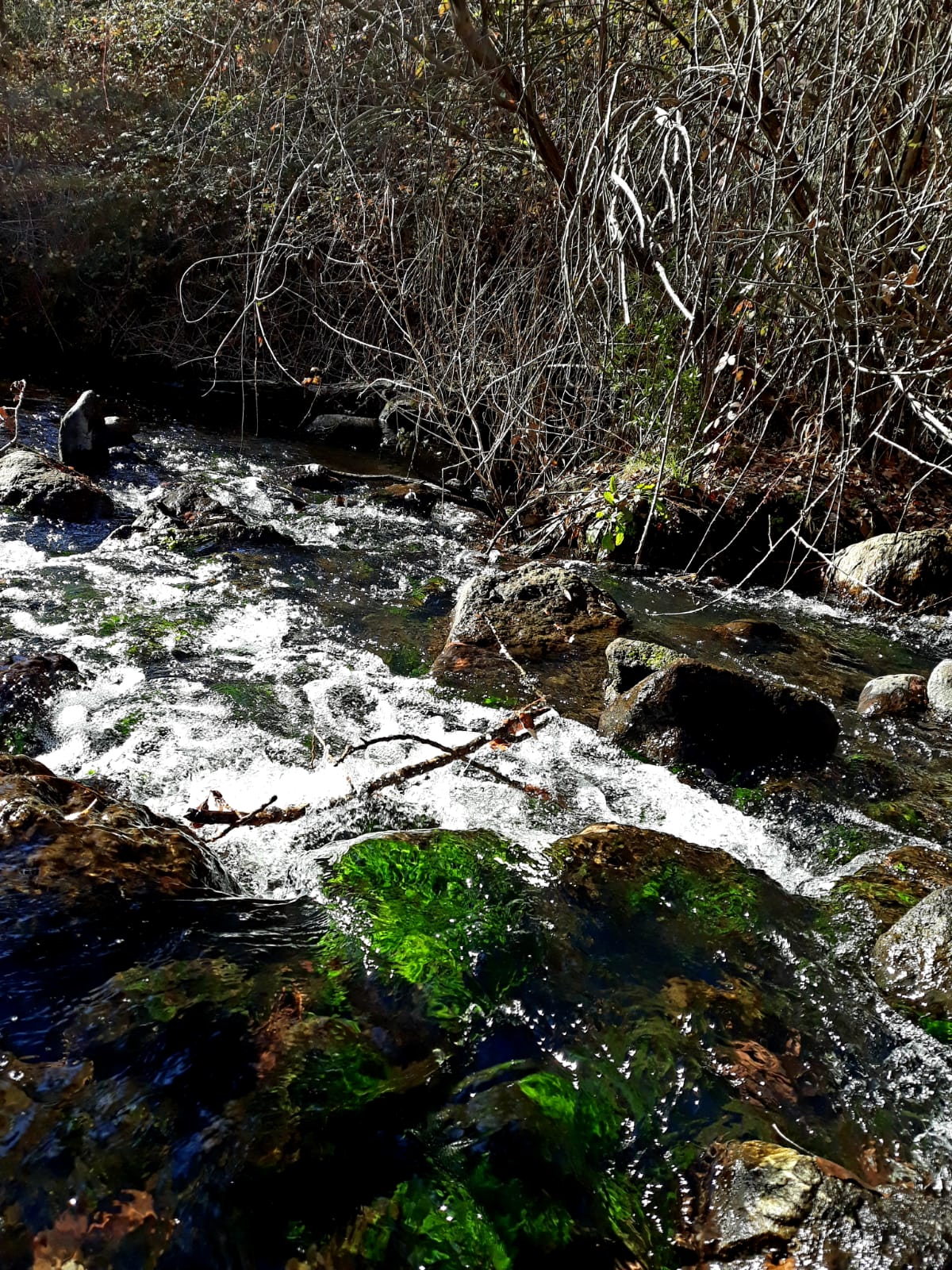 foto IMG-20190120-WA0072.jpg de 20190120 Cañón del río Aulencia