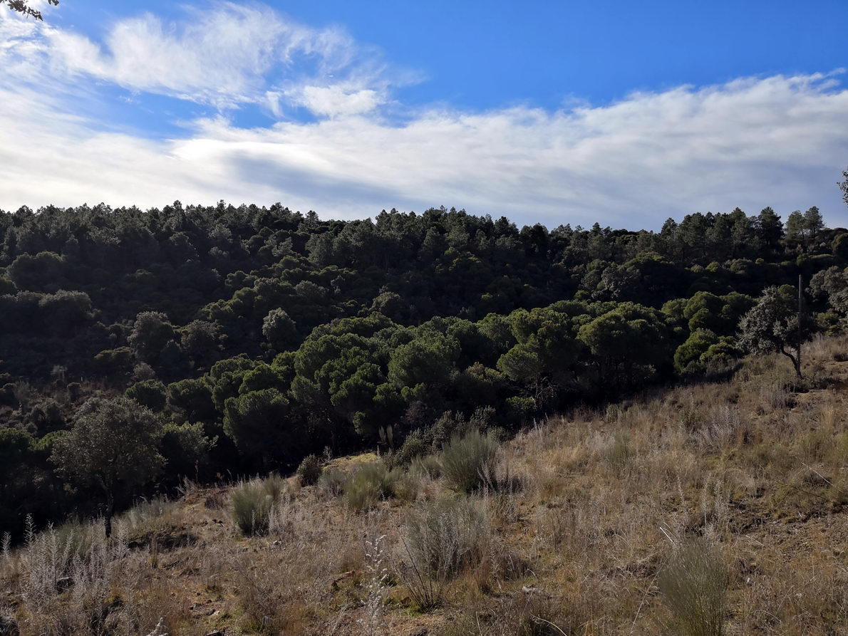 foto IMG_20190120_112537.jpg de 20190120 Cañón del río Aulencia