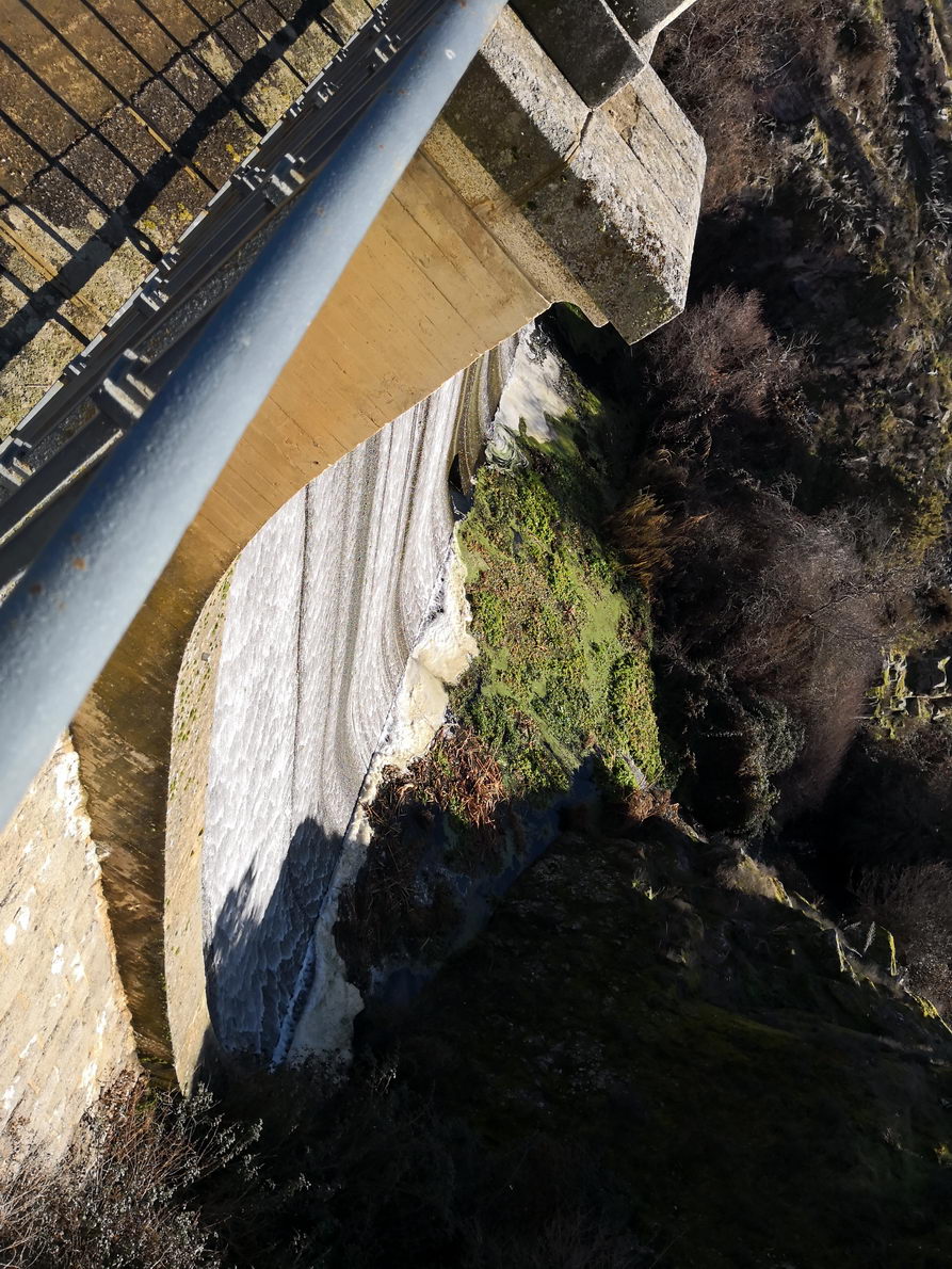 foto IMG_20190120_114749.jpg de 20190120 Cañón del río Aulencia