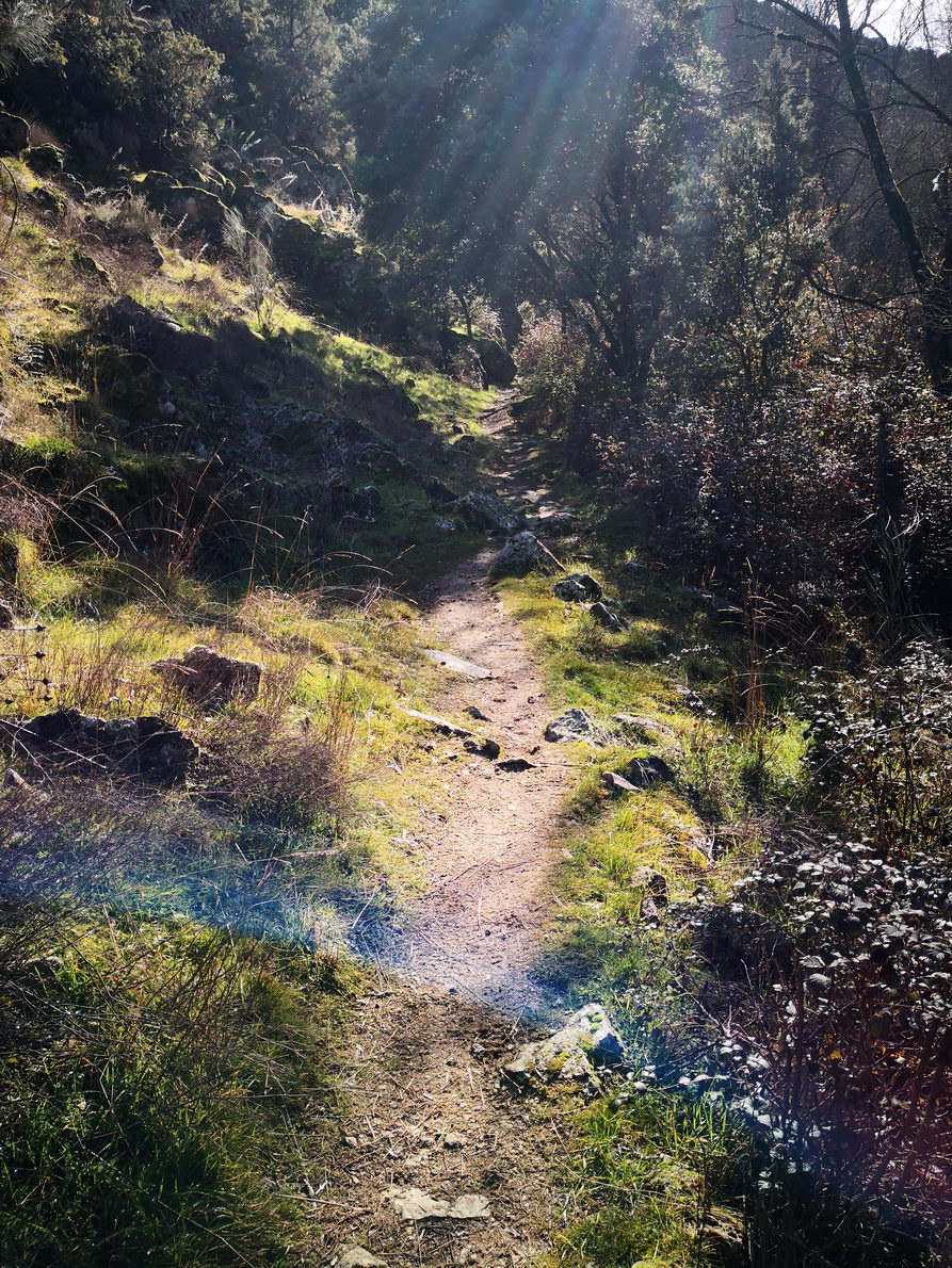 foto IMG_20190120_120441.jpg de 20190120 Cañón del río Aulencia