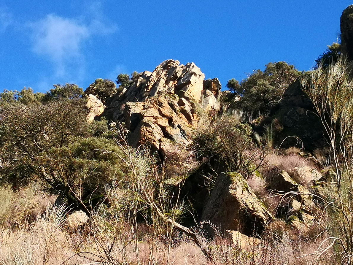 foto IMG_20190120_125049.jpg de 20190120 Cañón del río Aulencia