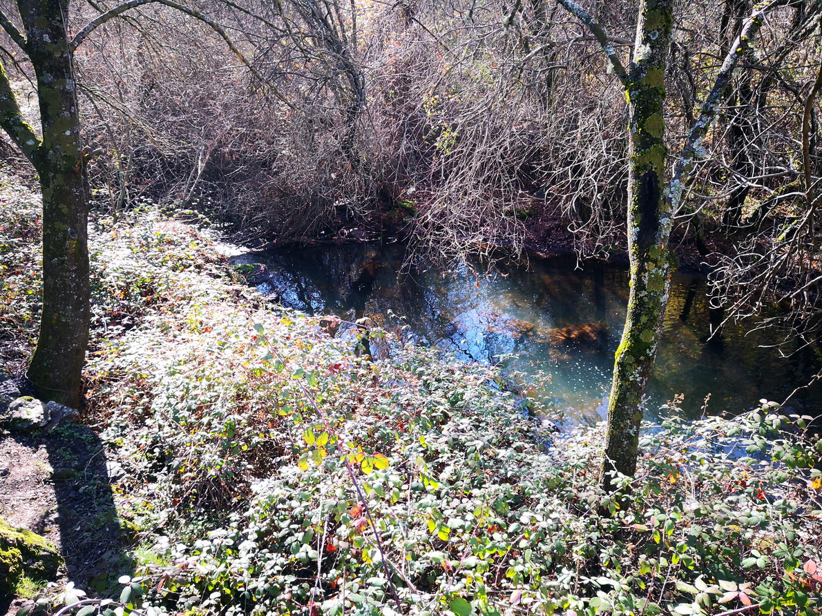 foto IMG_20190120_125240.jpg de 20190120 Cañón del río Aulencia