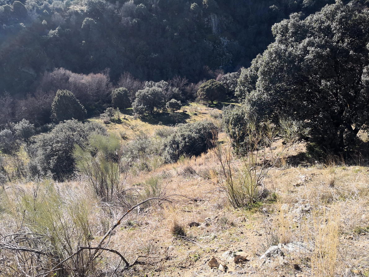 foto IMG_20190120_132523.jpg de 20190120 Cañón del río Aulencia