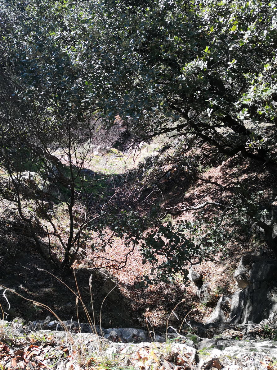 foto IMG_20190120_133119.jpg de 20190120 Cañón del río Aulencia