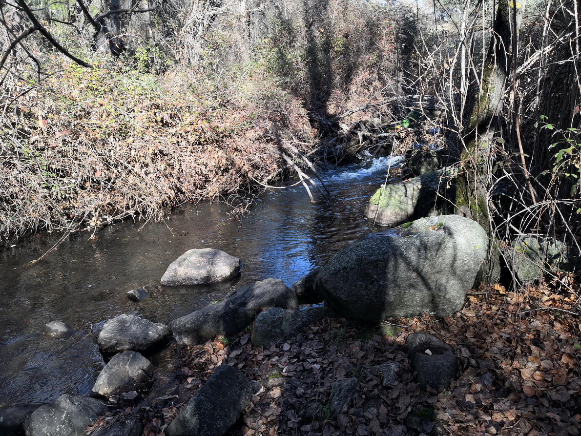 foto IMG_20190120_134307.jpg de 20190120 Cañón del río Aulencia