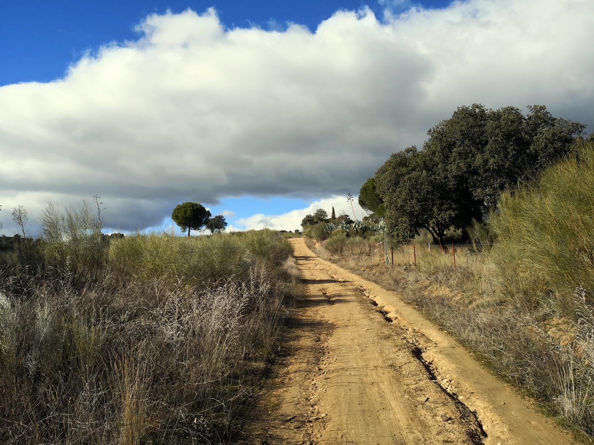 foto IMG_20190120_143328.jpg de 20190120 Cañón del río Aulencia