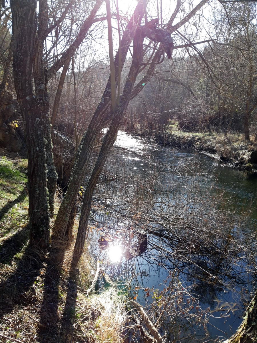 foto wa_IMG-20190226-WA0049=.jpg de 20190224 Cañon Cega y Pedraza #1