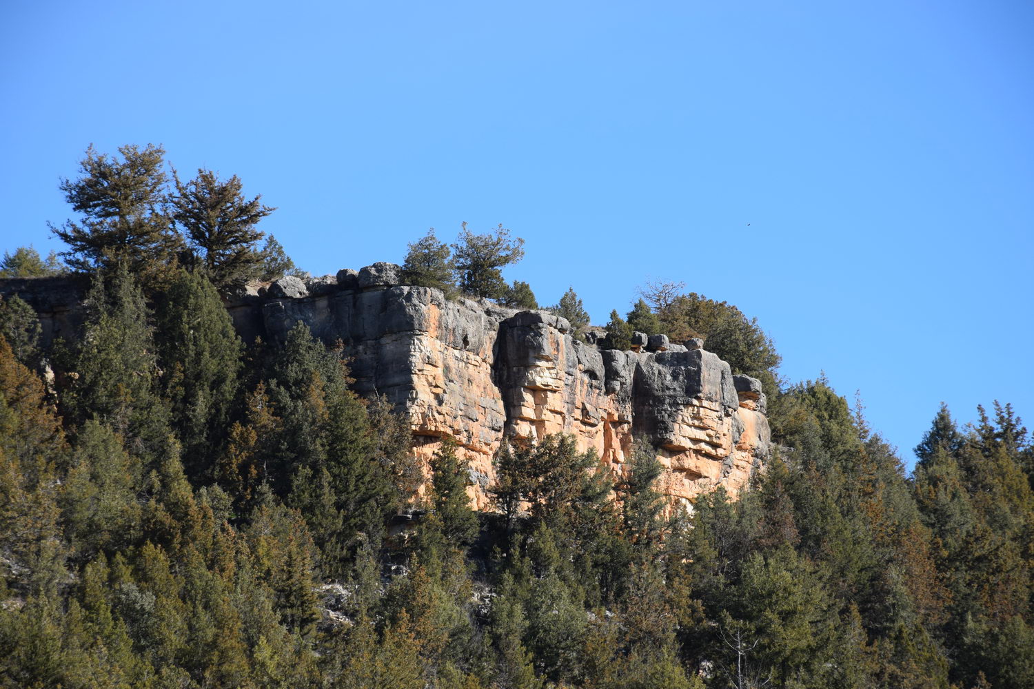 foto DSC_0439.jpg de 20190224 Cañon Cega y Pedraza #1