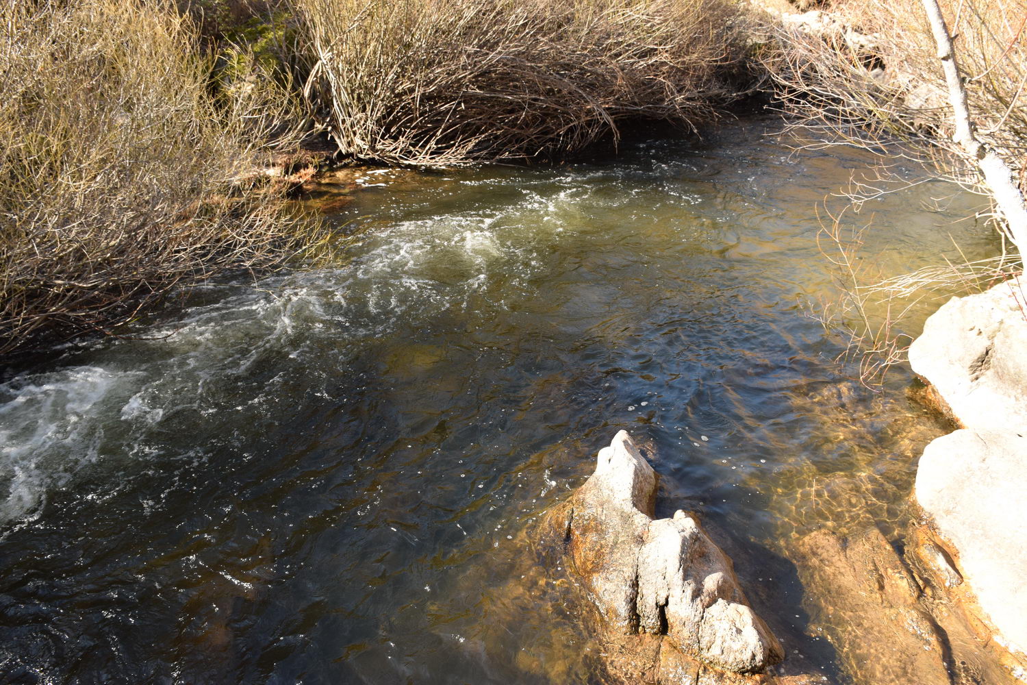 foto DSC_0527.jpg de 20190224 Cañon Cega y Pedraza #1