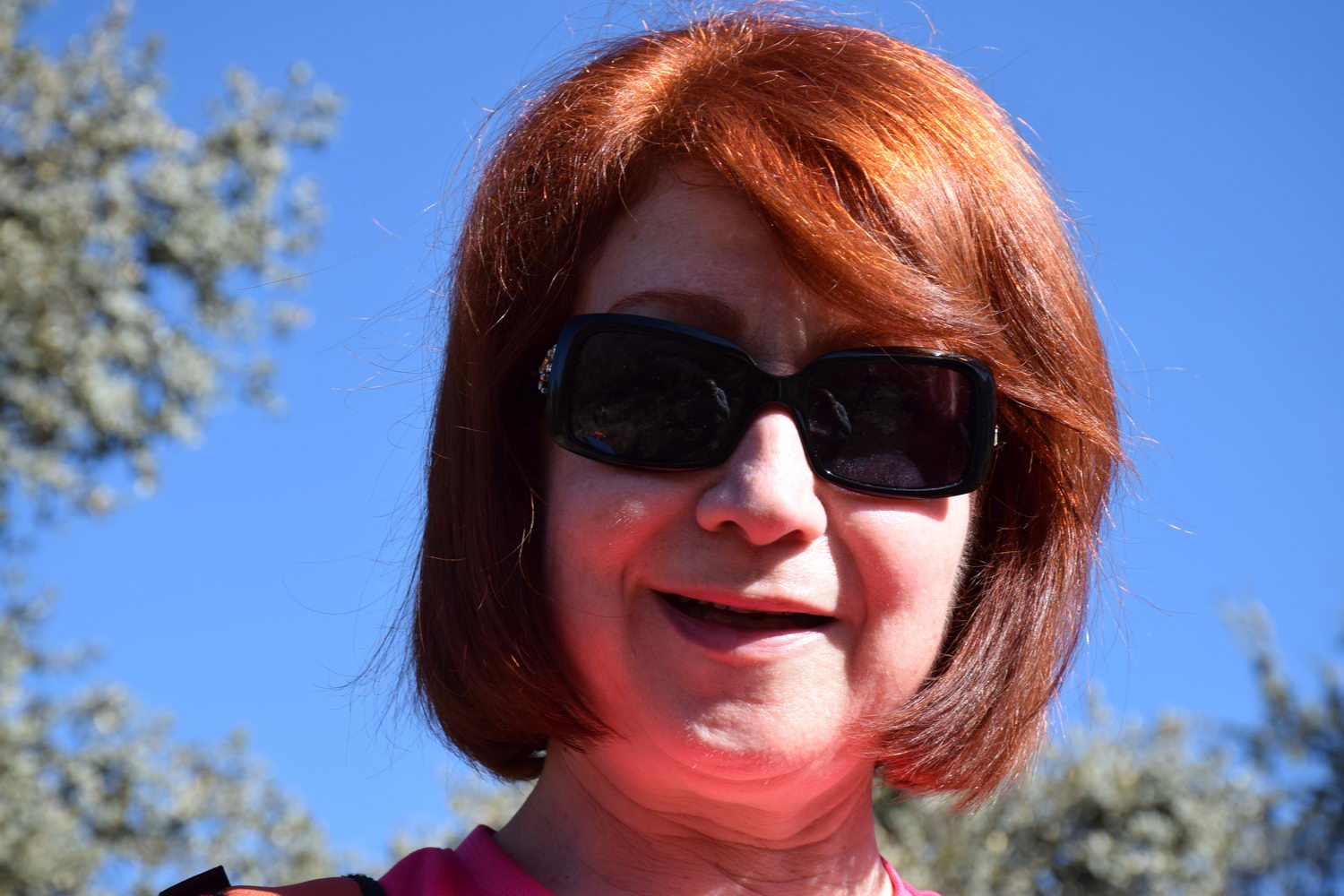 foto DSC_0540.jpg de 20190224 Cañon Cega y Pedraza #1