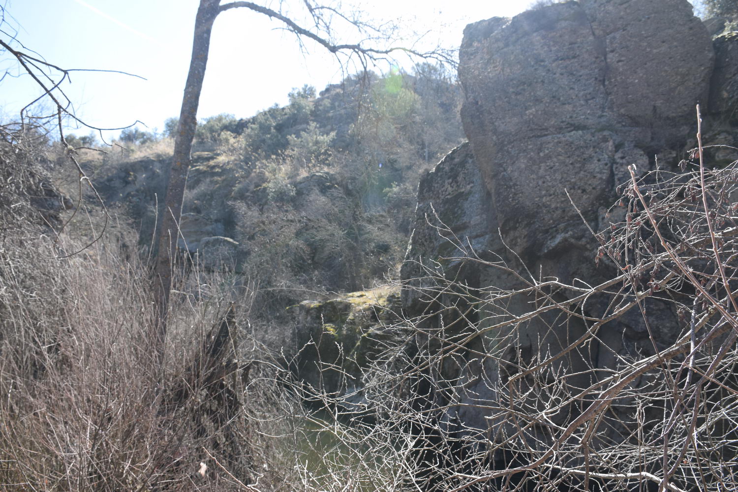 foto DSC_0568.jpg de 20190224 Cañon Cega y Pedraza #1