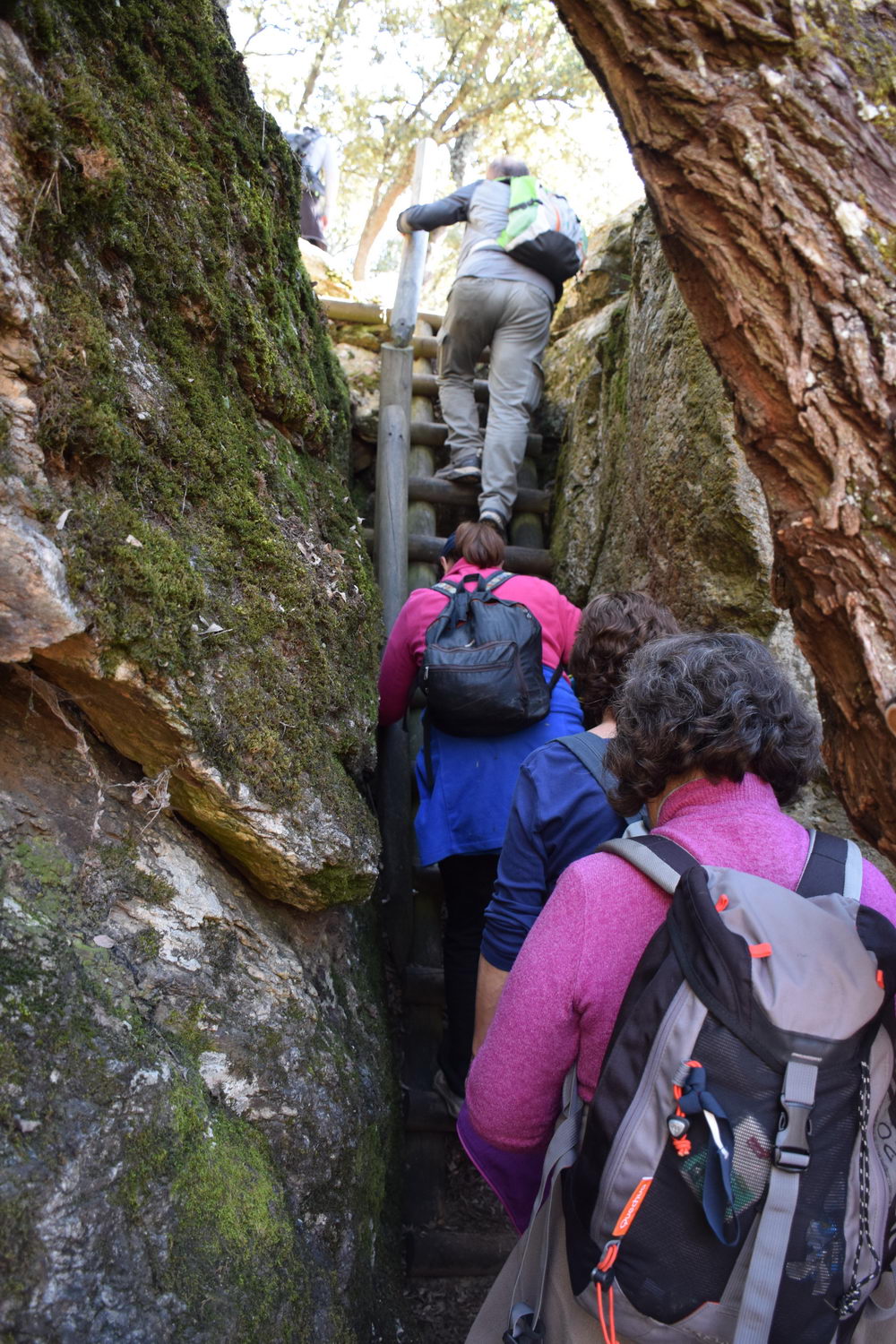 foto DSC_0573.jpg de 20190224 Cañon Cega y Pedraza #1