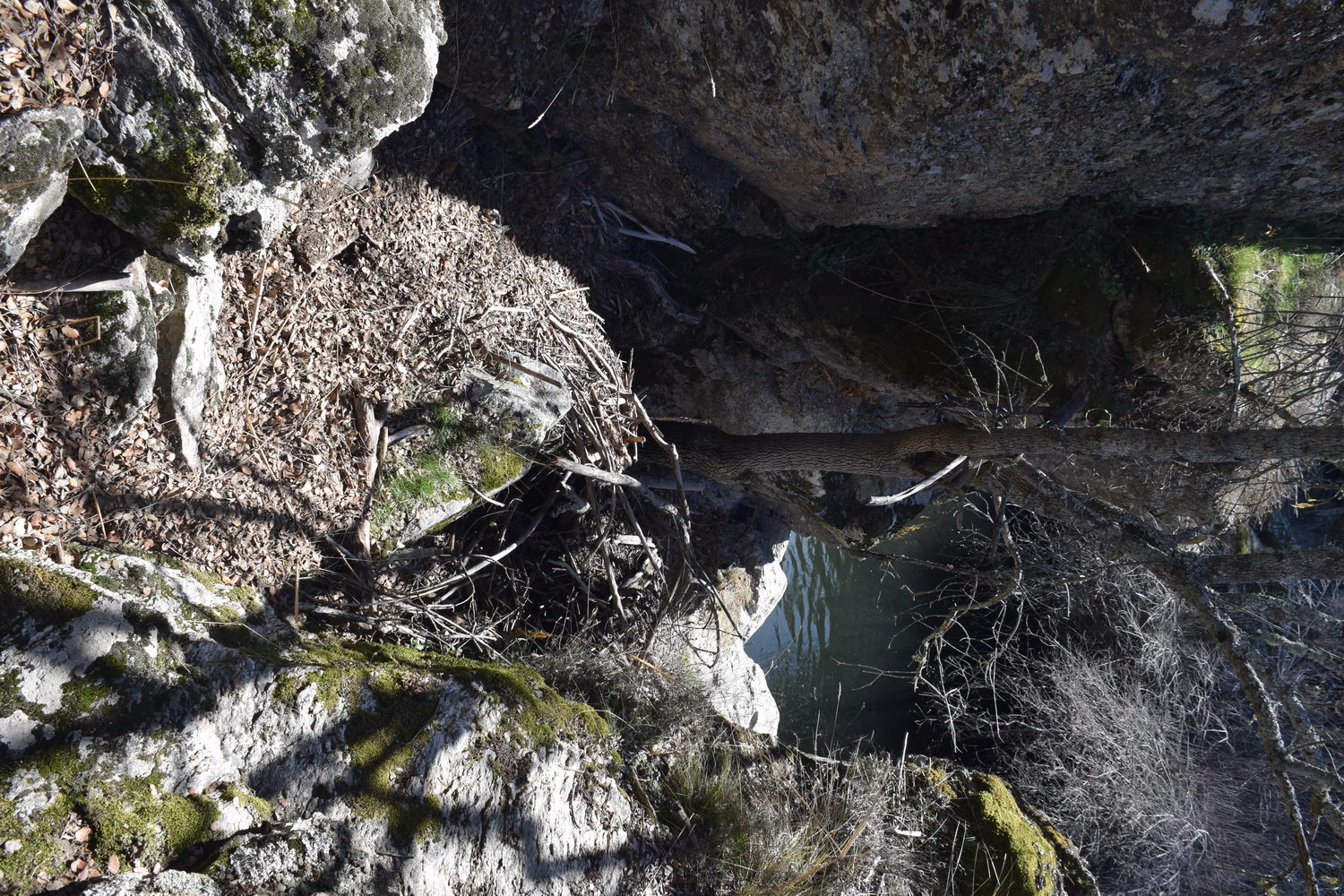 foto DSC_0574.jpg de 20190224 Cañon Cega y Pedraza #1