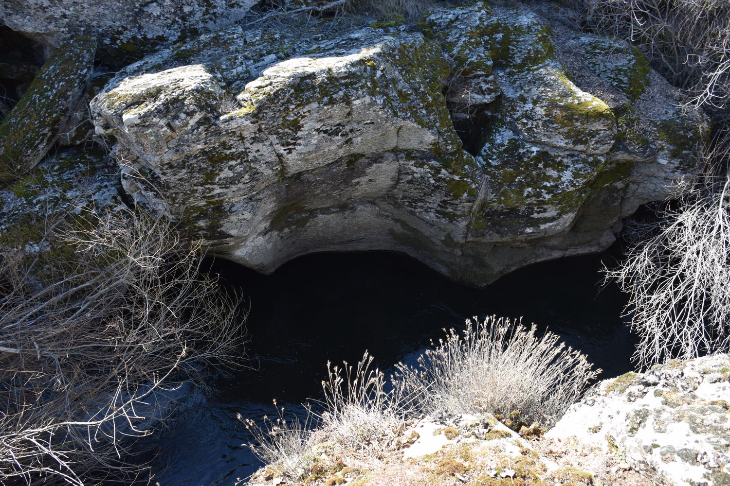 foto DSC_0581.jpg de 20190224 Cañon Cega y Pedraza #1