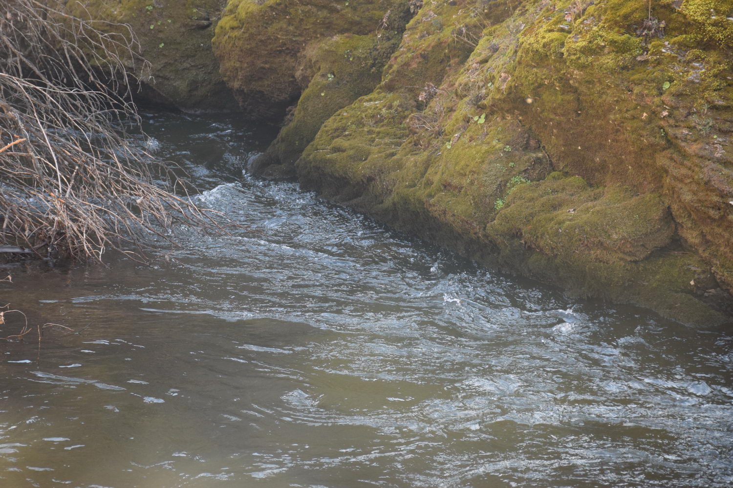 foto DSC_0590.jpg de 20190224 Cañon Cega y Pedraza #1