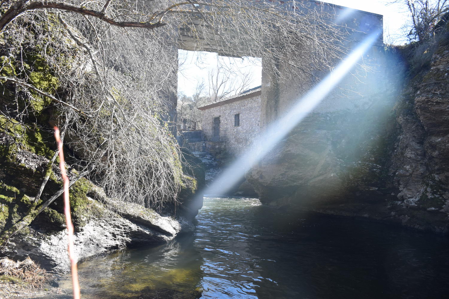 foto DSC_0597.jpg de 20190224 Cañon Cega y Pedraza #1