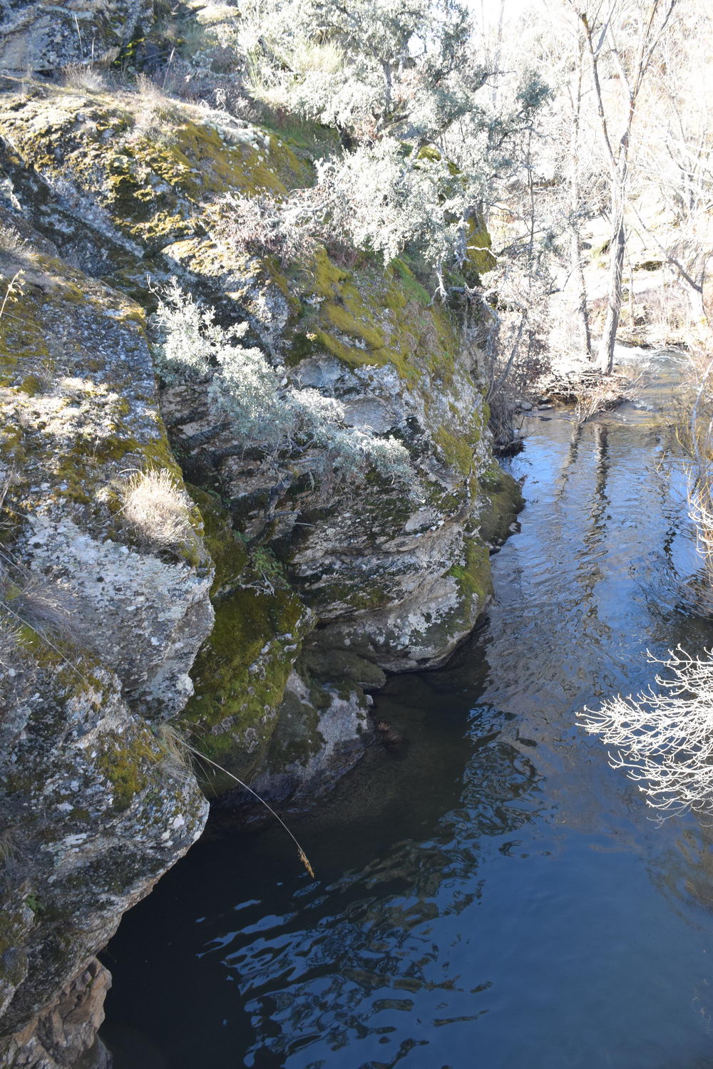 foto DSC_0615.jpg de 20190224 Cañon Cega y Pedraza #2