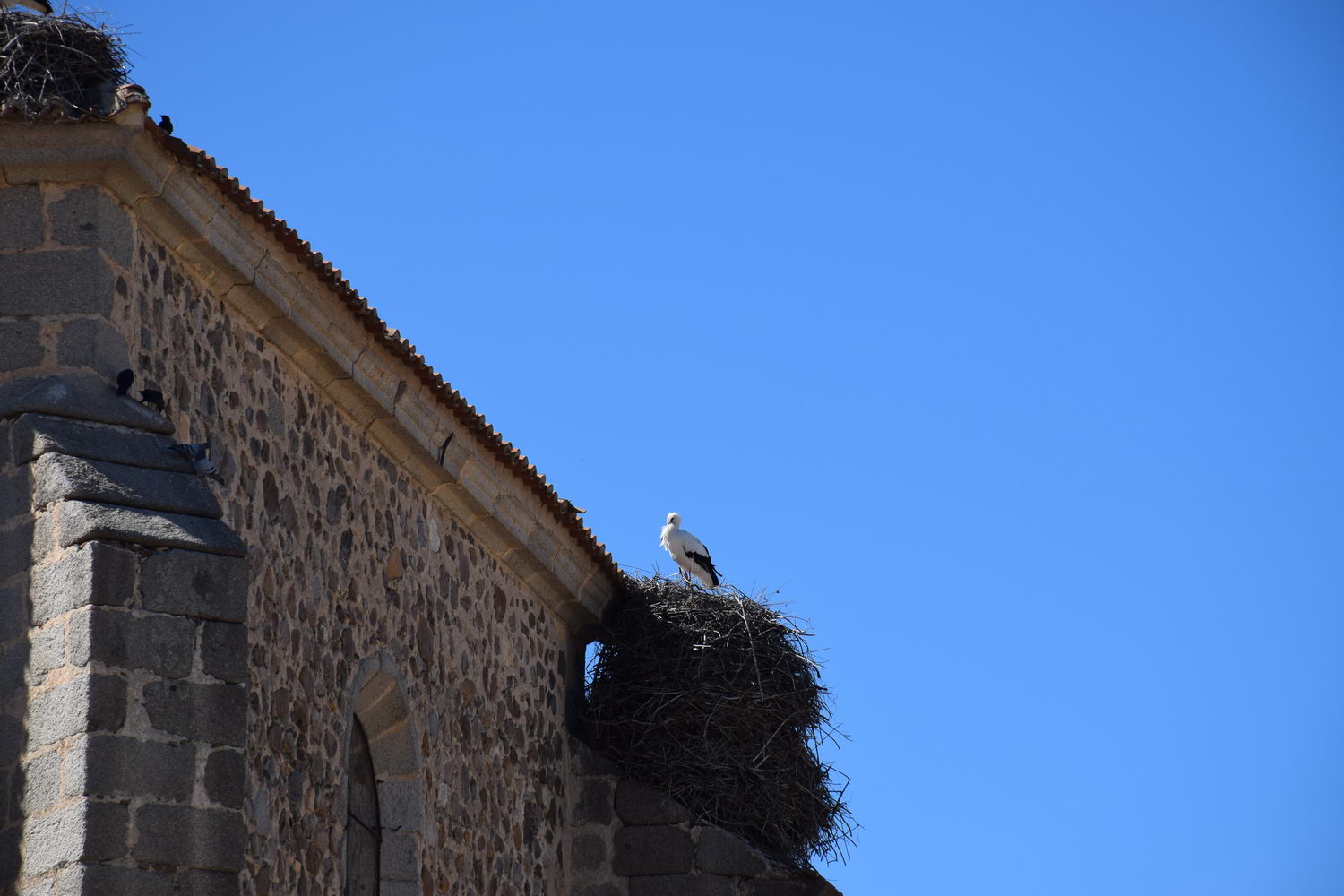 foto DSC_0849.jpg de 20190315 Recarga Human & Nature - llegada