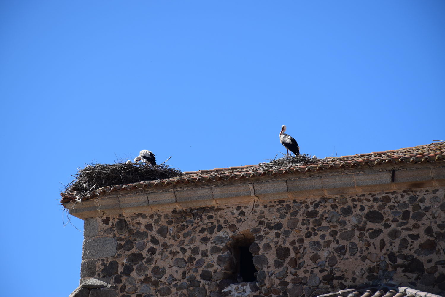 foto DSC_0850.jpg de 20190315 Recarga Human & Nature - llegada