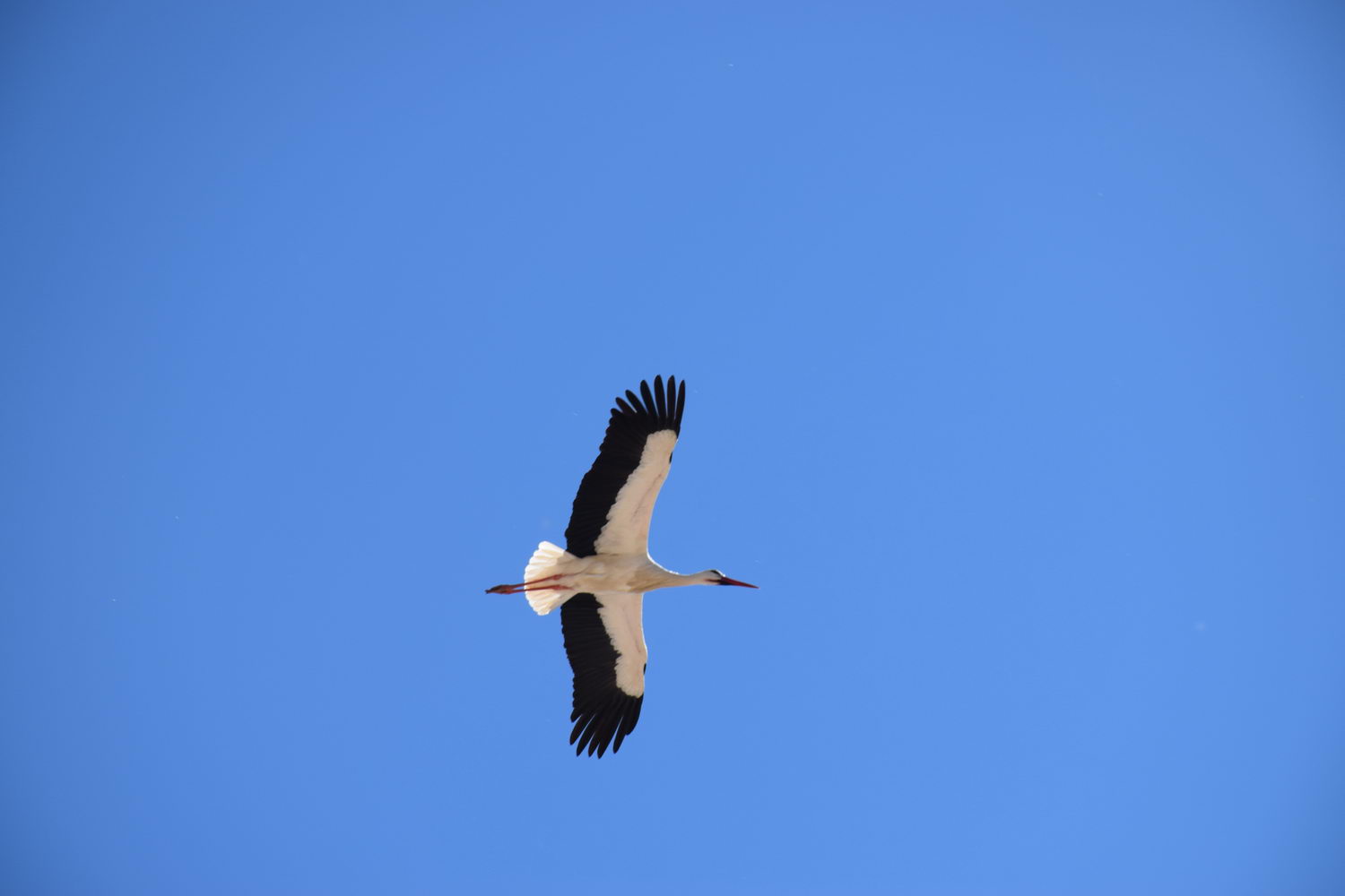 foto DSC_0857.jpg de 20190315 Recarga Human & Nature - llegada