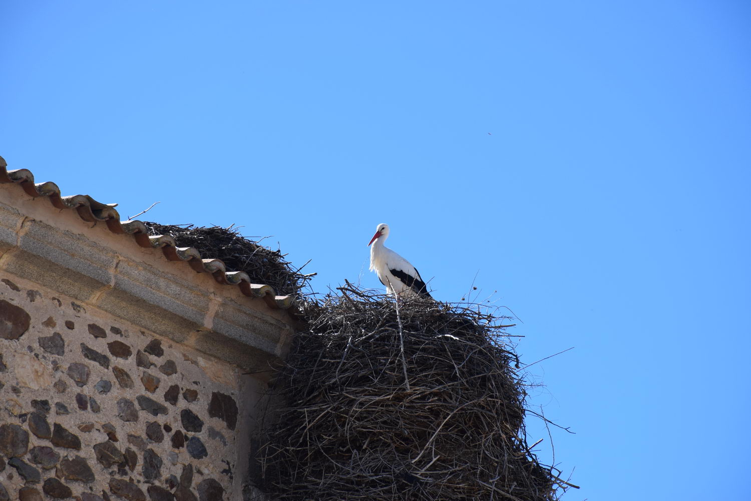 foto DSC_0862.jpg de 20190315 Recarga Human & Nature - llegada