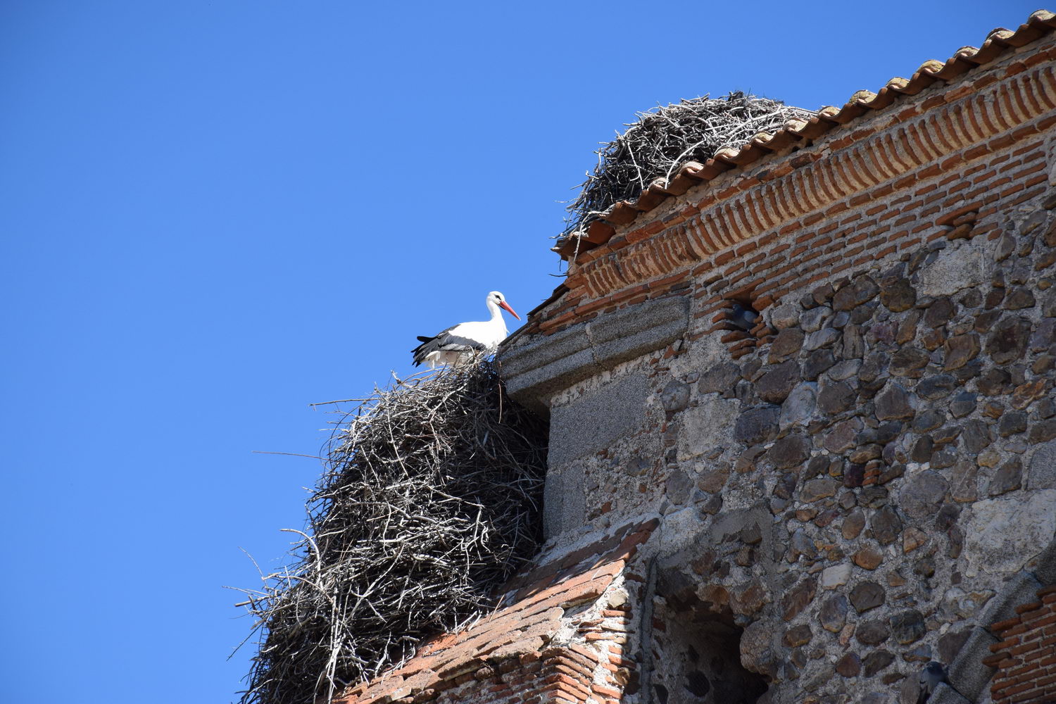 foto DSC_0868.jpg de 20190315 Recarga Human & Nature - llegada