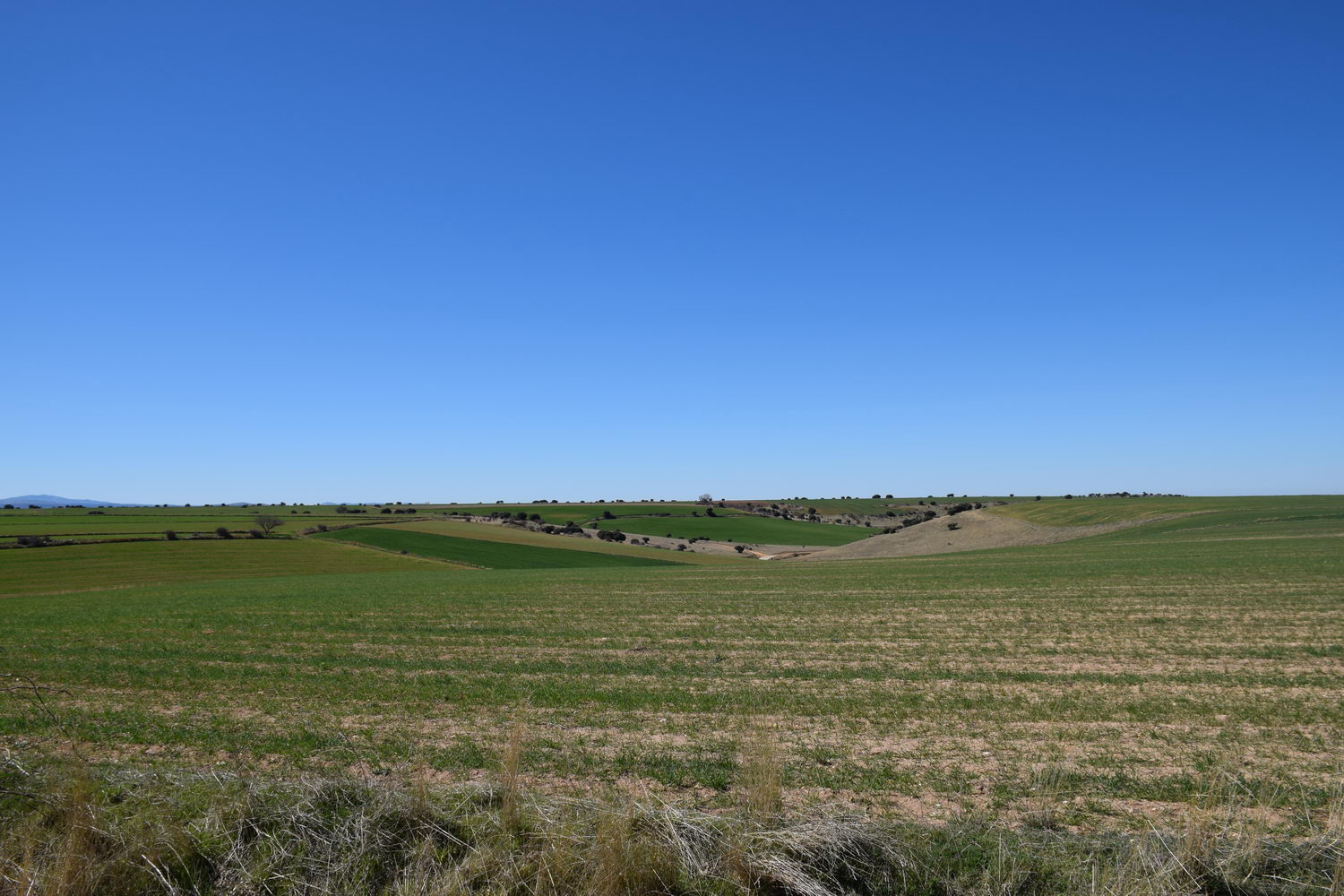 foto DSC_0872.jpg de 20190315 Recarga Human & Nature - llegada