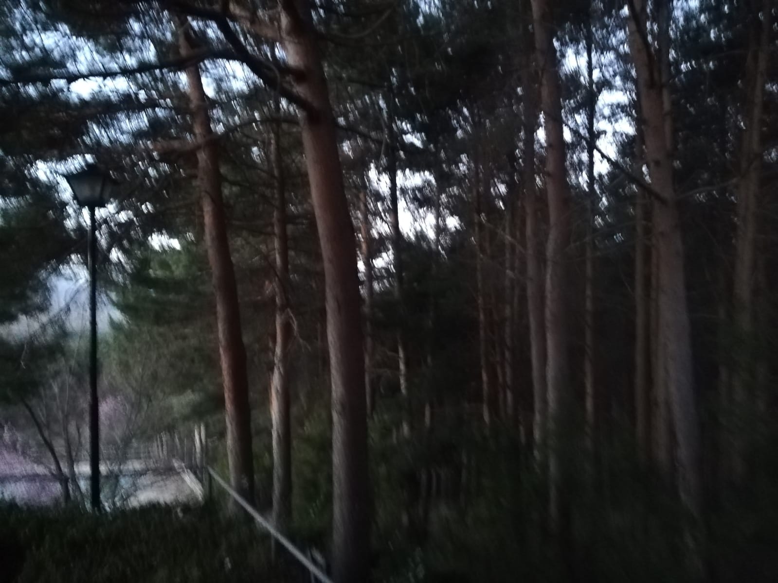 foto IMG-20190317-WA0037.jpg de 20190316 Recarga Human & Nature - on stage