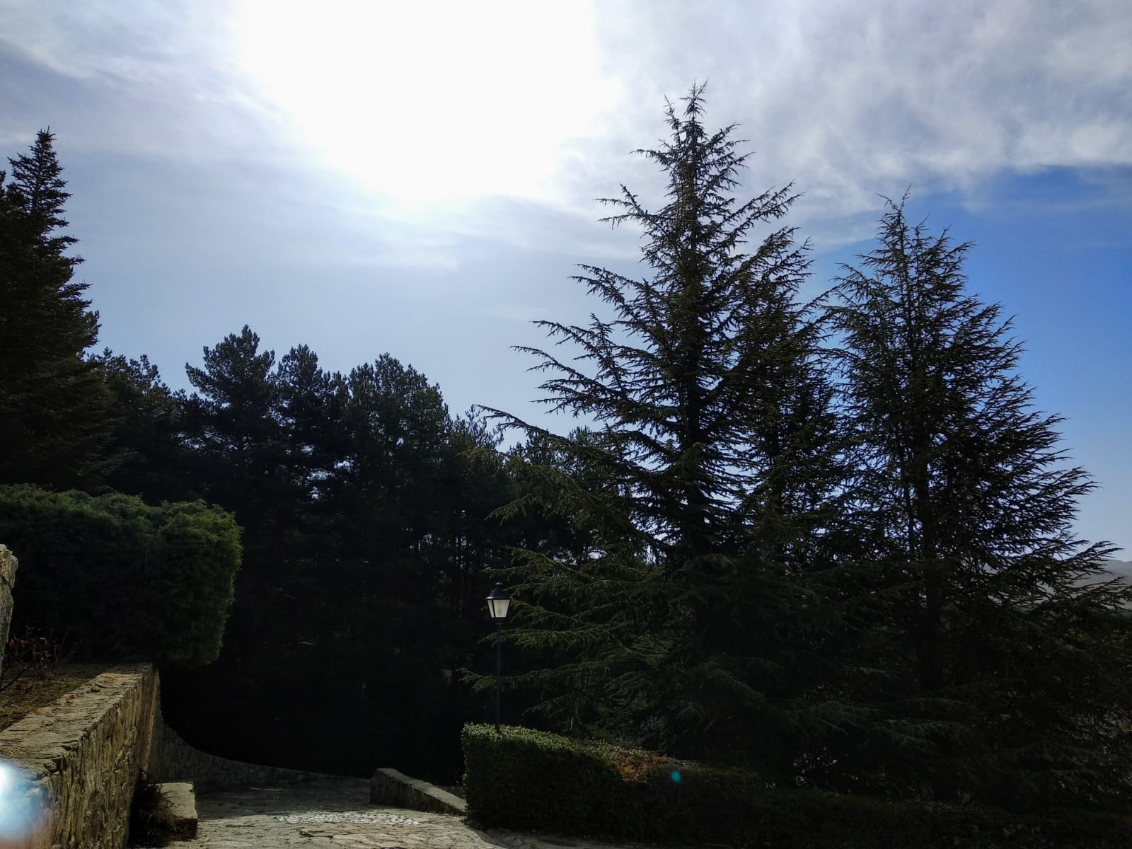 foto IMG-20190320-WA0005.jpg de 20190316 Recarga Human & Nature - on stage