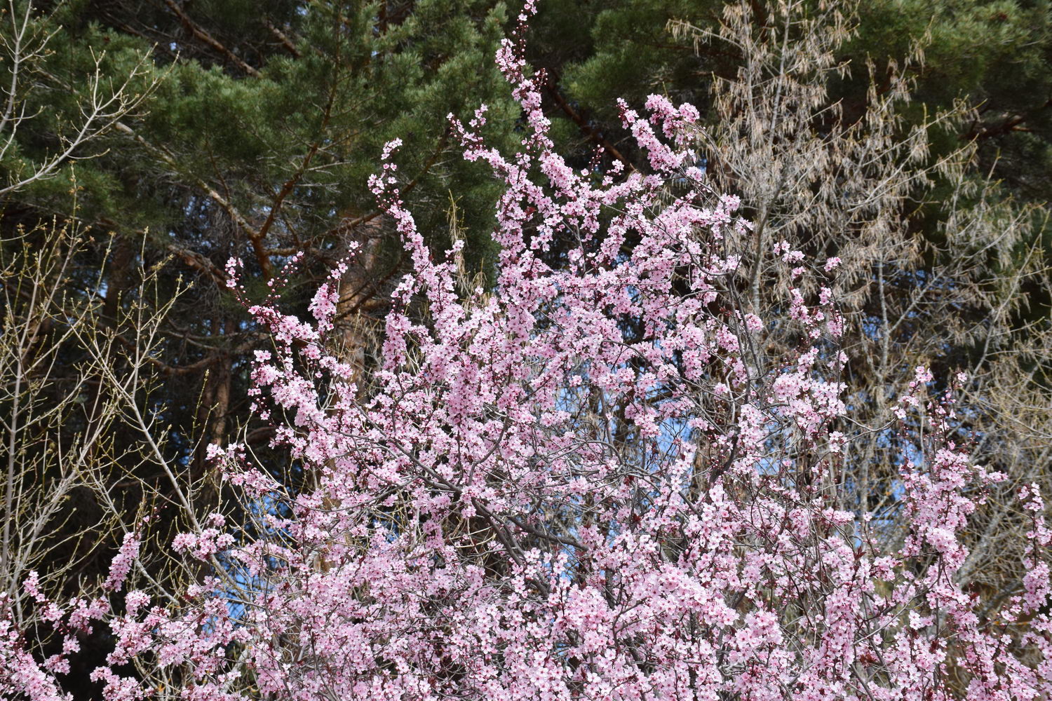 foto DSC_0097.jpg de 20190316 Recarga Human & Nature - on stage