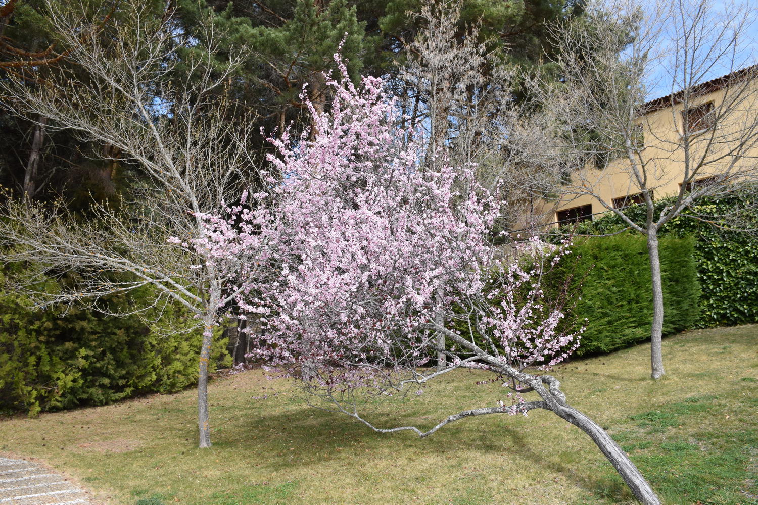 foto DSC_0098.jpg de 20190316 Recarga Human & Nature - on stage