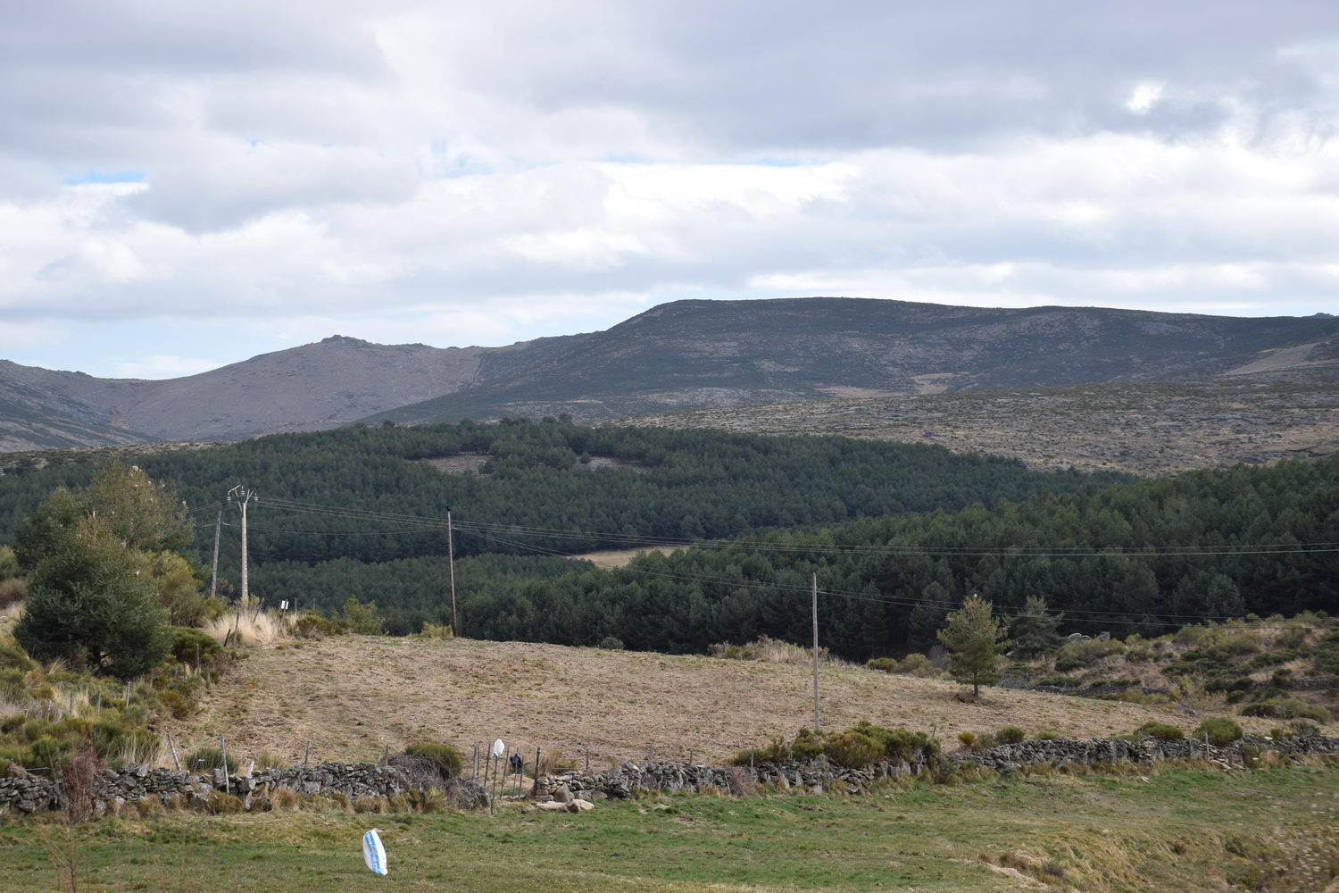 foto DSC_0161.jpg de 20190317 Recarga Human & Nature - regreso