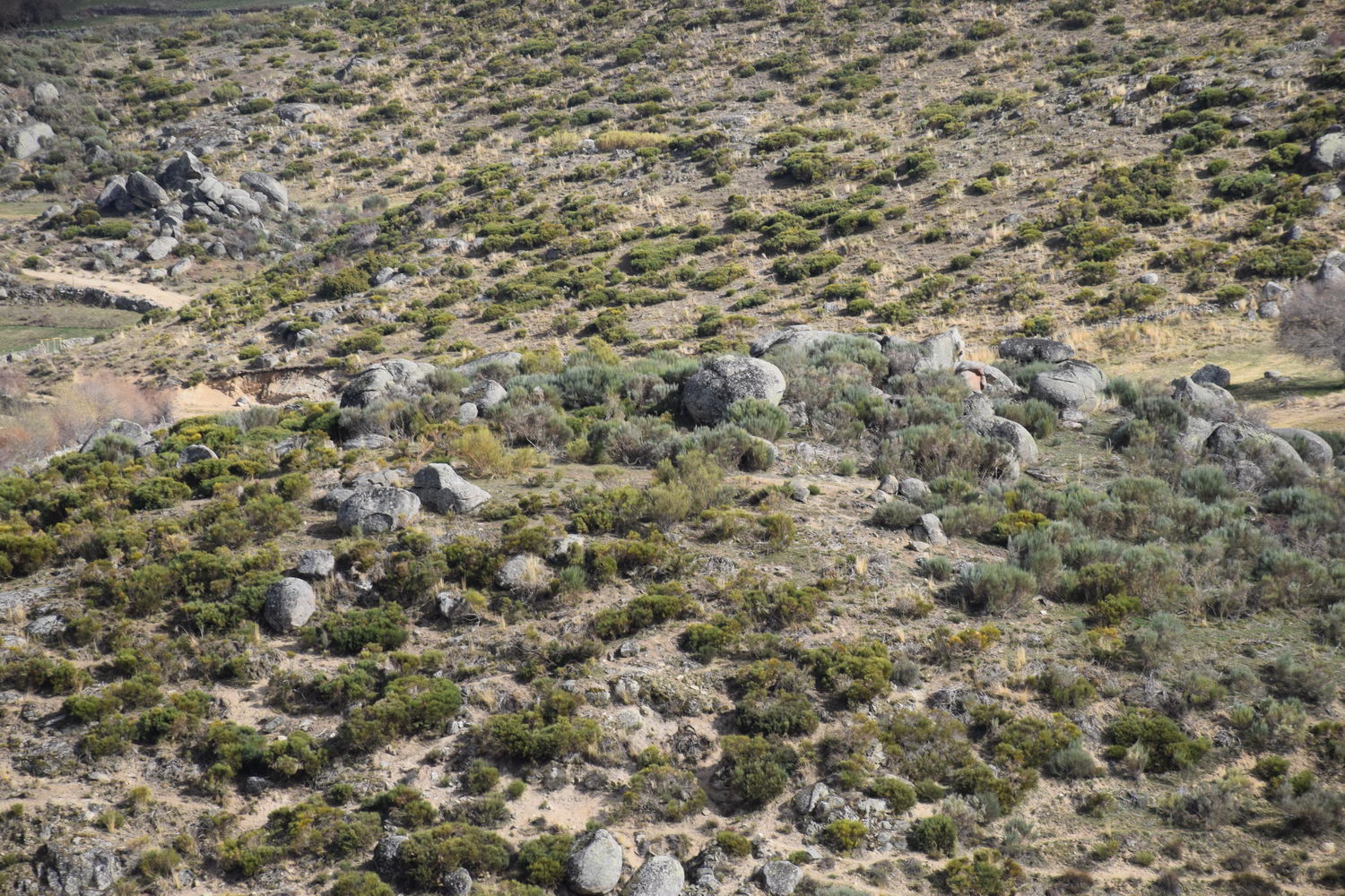 foto DSC_0182.jpg de 20190317 Recarga Human & Nature - regreso